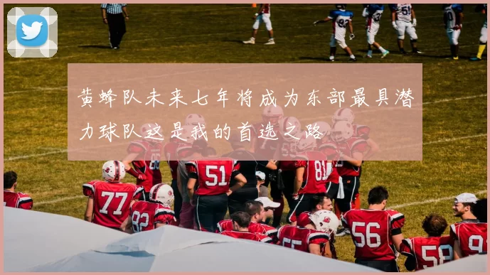 黄蜂队未来七年将成为东部最具潜力球队这是我的首选之路