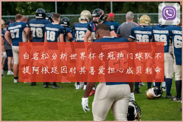 白岩松分析世界杯夺冠热门球队不提阿根廷因对其喜爱担心成贝利命运